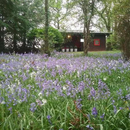 Caban Cwtch Villa Cenarth Buitenkant foto