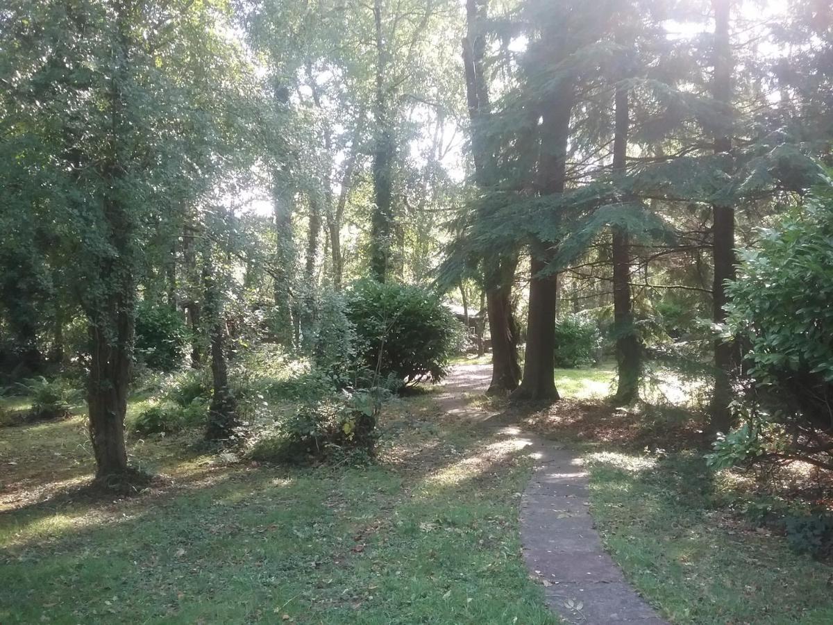 Caban Cwtch Villa Cenarth Buitenkant foto